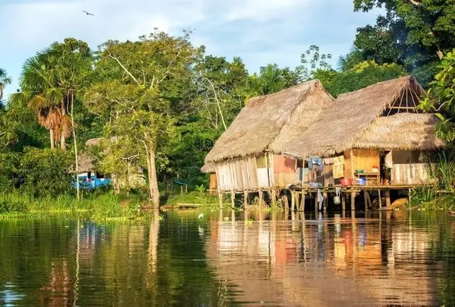 4D3N Amazon Rain Forest Tour with canopy walk, Luxury tours from Iquitos Airport